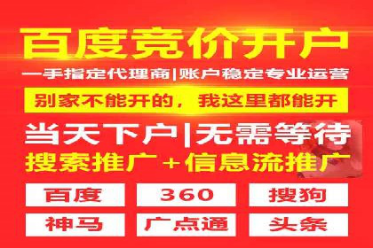 SEM托管服务，成功案例深度分析